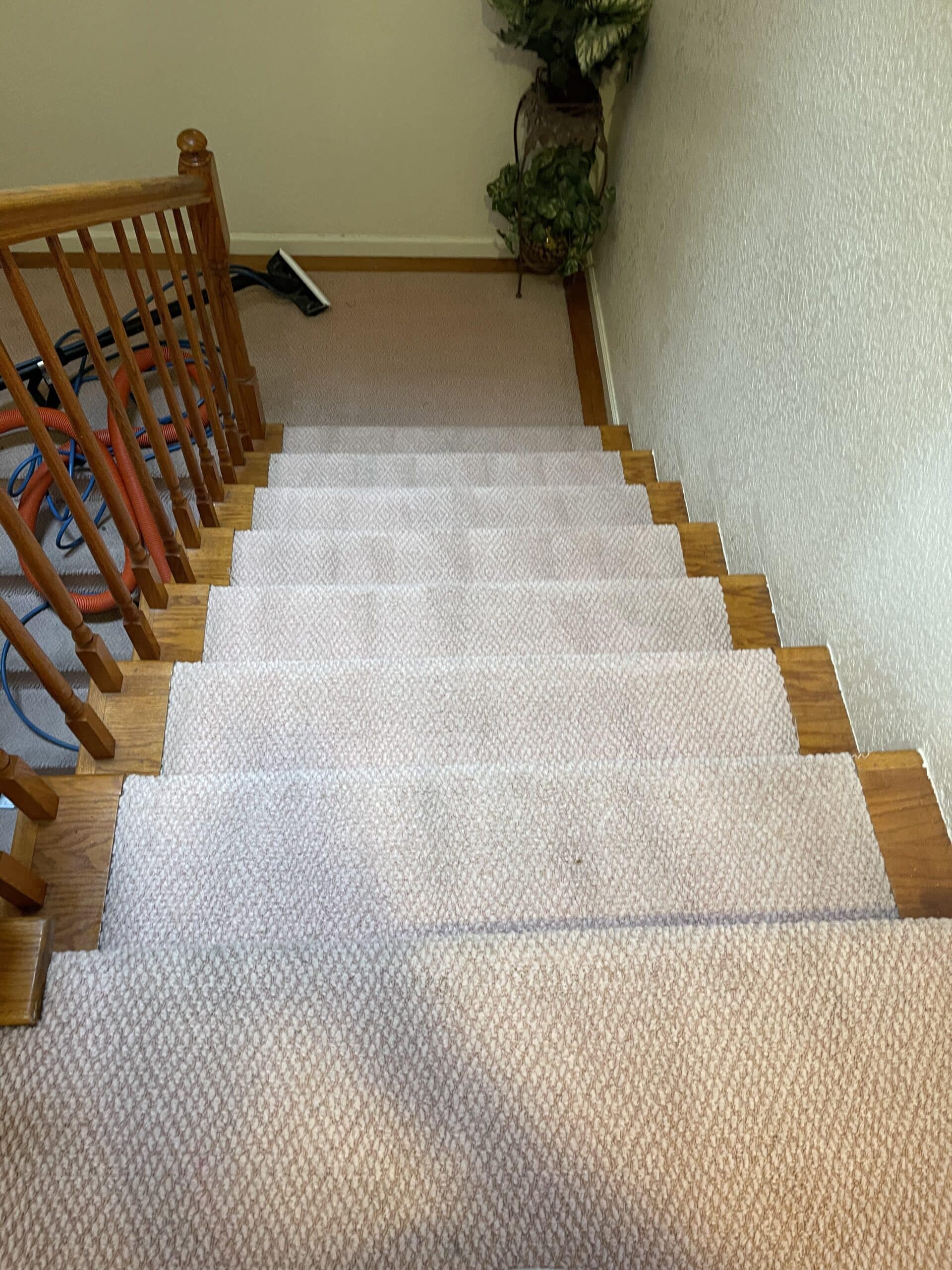 Clean carpeted stairs in San Pablo