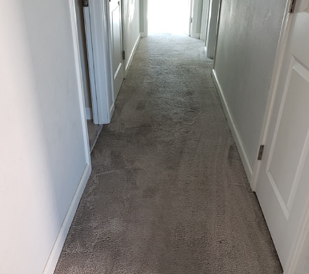 Bright hallway with carpet flooring