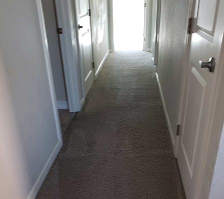 Bright hallway with carpet flooring