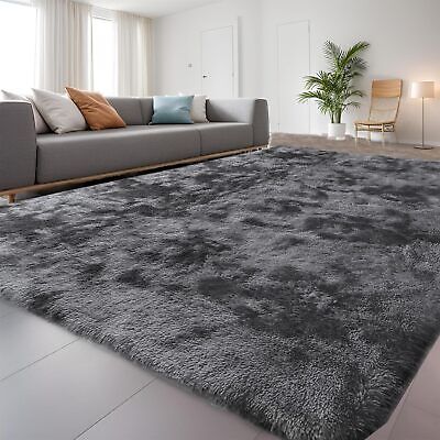 Soft gray shag rug in modern living room